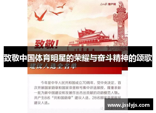 致敬中国体育明星的荣耀与奋斗精神的颂歌